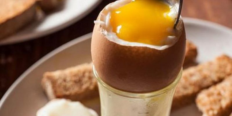 Cách quản lý dinh dưỡng để giảm tỷ lệ trứng bẩn