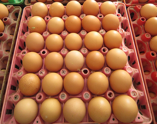 Thị trường tiêu thụ trứng tăng