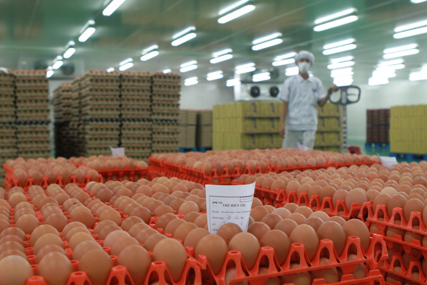 Trang trại sản xuất trứng gà hiện đại và an toàn nhất thủ đô Kigali