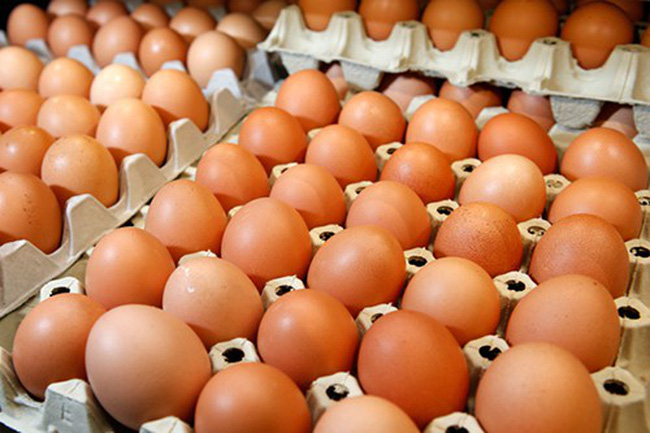 Thu hoạch được 500 trứng đầu tiên