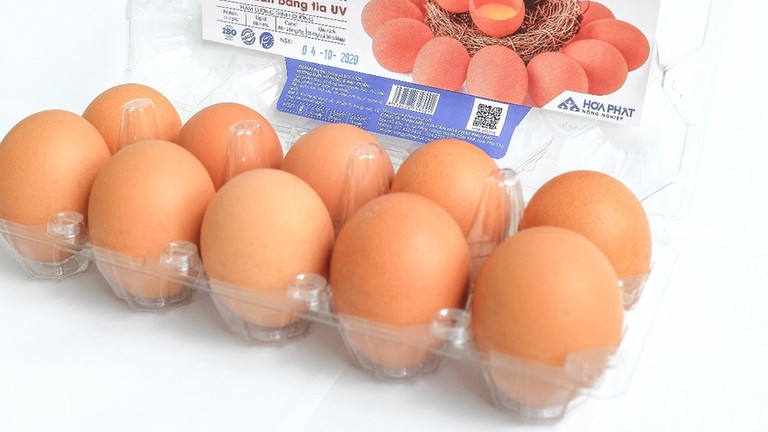 Cung cấp trứng sạch ra thị trường