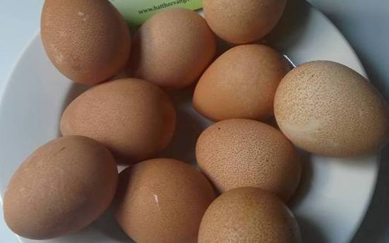 Trứng gà sao-quả "trứng vàng" bán ra kiếm tiền tỷ mỗi năm